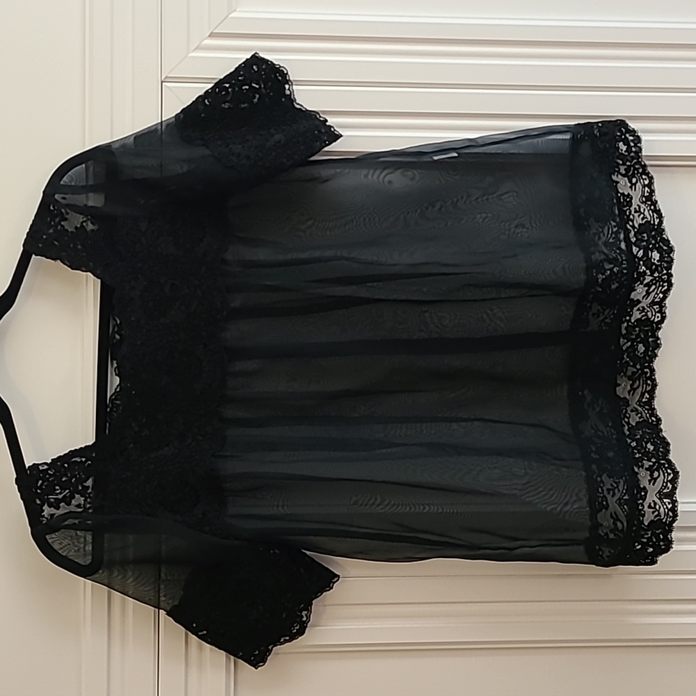 Anna Sui lace see through top